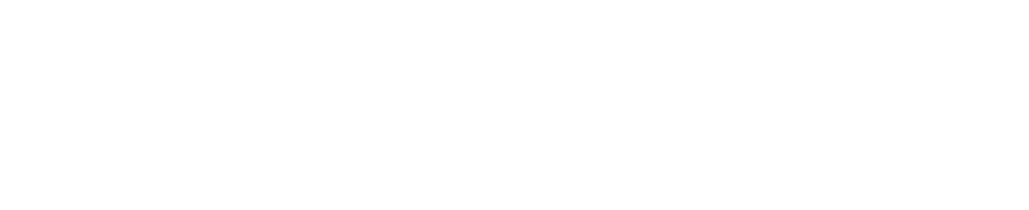 The Web Nest Studio